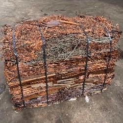 Copper Millberry